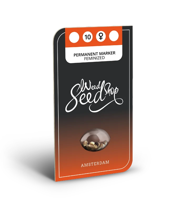 Permanent Marker Feminized Seeds Blistercard