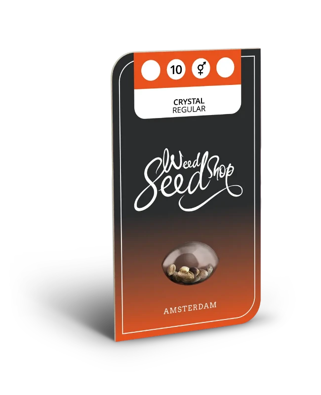 Crystal Regular Seeds