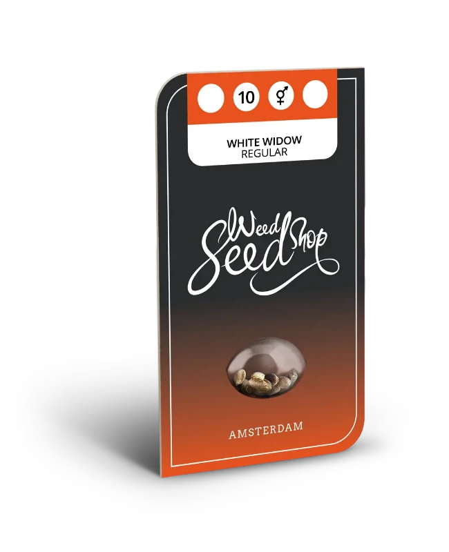 White Widow Regular Seeds