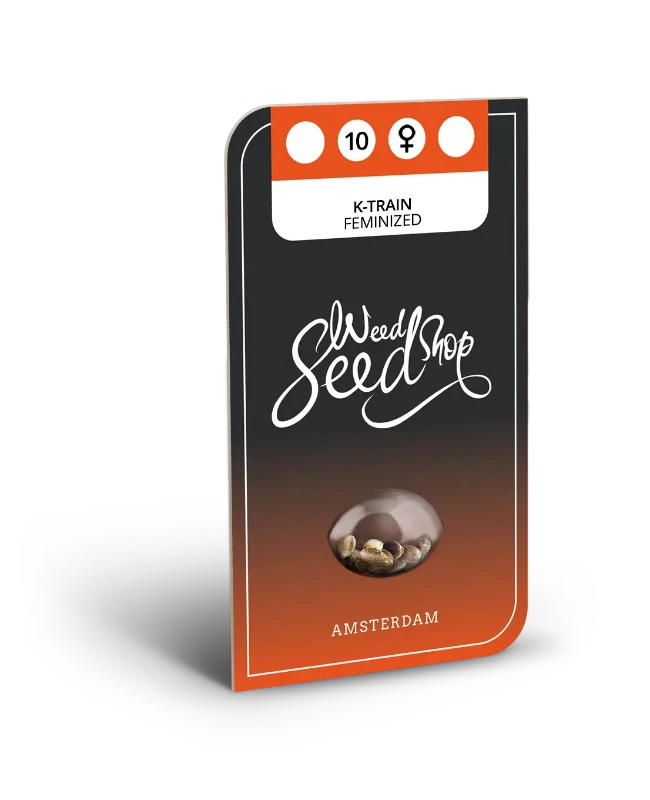 K-Train Feminized Seeds