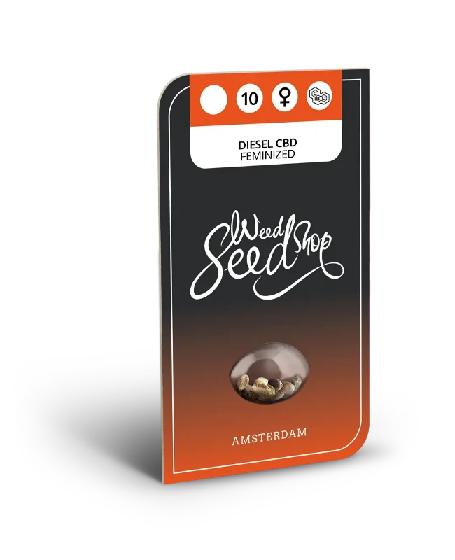 Diesel CBD Feminized Seeds