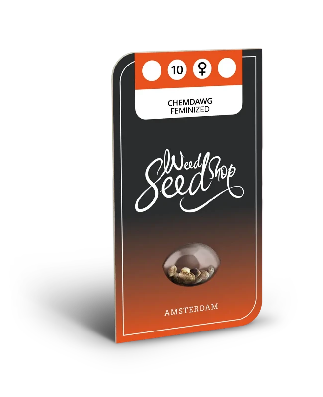 Chemdawg Feminized Seeds